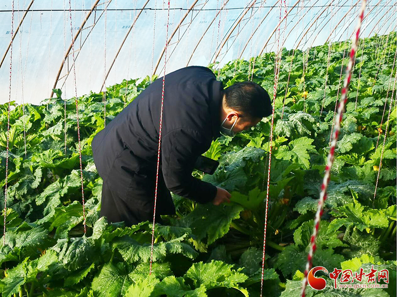 敦煌市肅州鎮(zhèn)：技術(shù)人員“一線(xiàn)”解民憂(yōu)