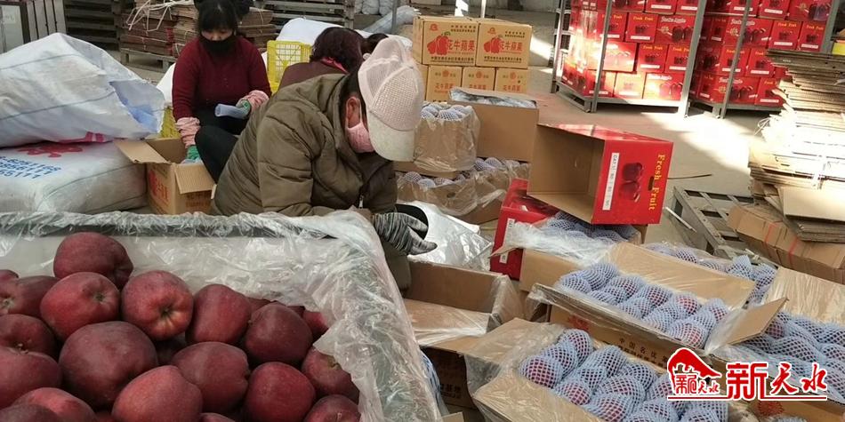 天水“花?！弊罱悬c(diǎn)“牛”