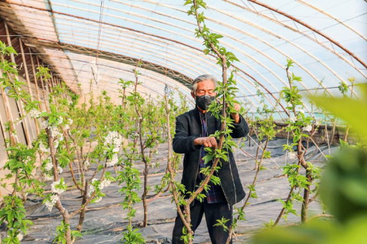 銅城復(fù)蘇：春光明媚，邀你共賞芳華（組圖）