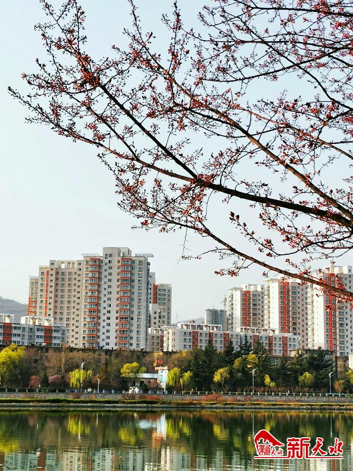 春天，古城天水的十個(gè)美麗瞬間