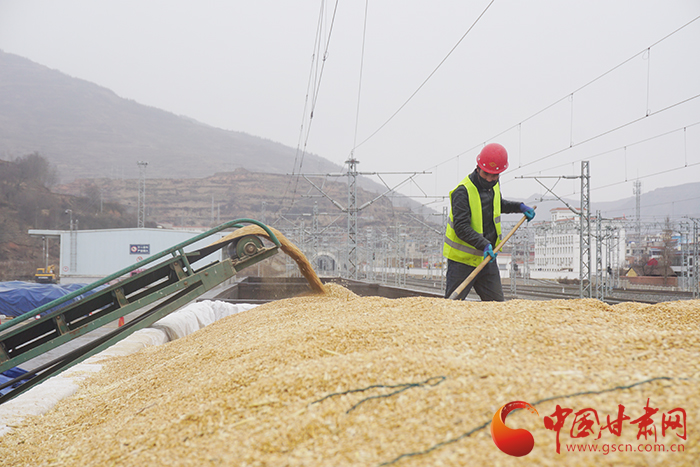 蘭州貨運(yùn)中心岷縣營(yíng)業(yè)部黨支部為客戶解愁為企業(yè)復(fù)工復(fù)產(chǎn)按下“快進(jìn)鍵”