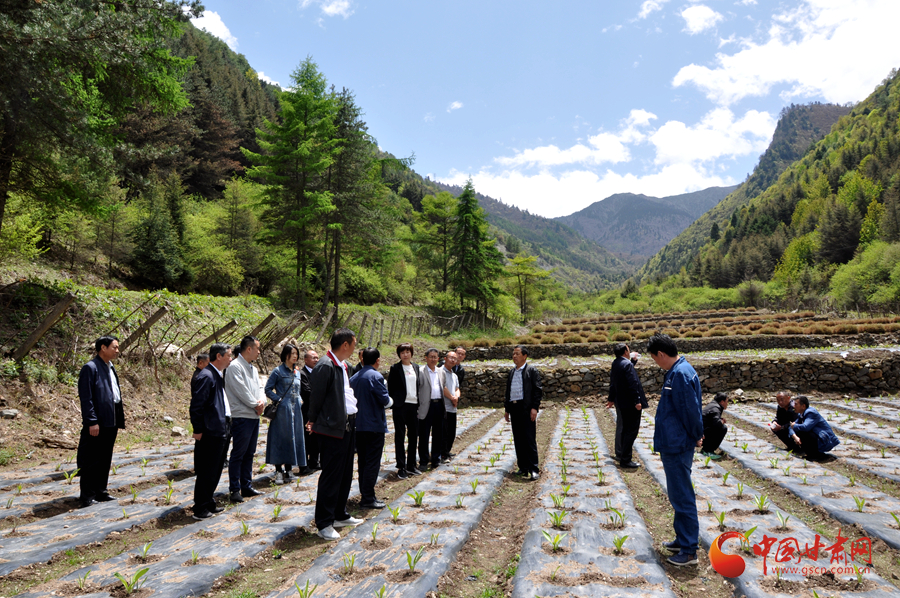 白龍江博峪河保護(hù)局開展產(chǎn)業(yè)發(fā)展、義務(wù)勞動(dòng)成果現(xiàn)場(chǎng)觀摩交流活動(dòng)