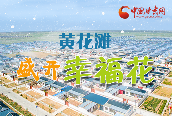 【跟著總書(shū)記看甘肅】長(zhǎng)圖|武威黃花灘盛開(kāi)幸?；?