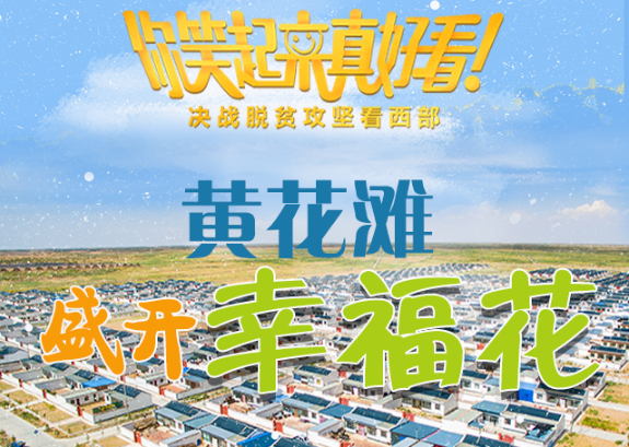 【你笑起來真好看】黃花灘盛開幸?；ǎ▓D解）