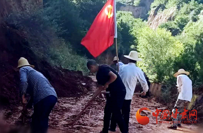 武都：黨旗飄揚映初心 風雨同舟抗汛情