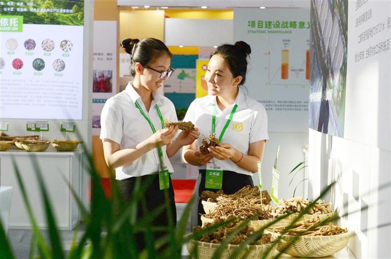 定西，從“千年藥鄉(xiāng)”邁向“中國(guó)藥都”