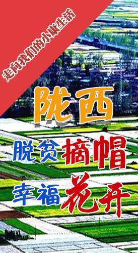 【走向我們的小康生活】長(zhǎng)圖|隴西：脫貧摘帽 幸?；ㄩ_