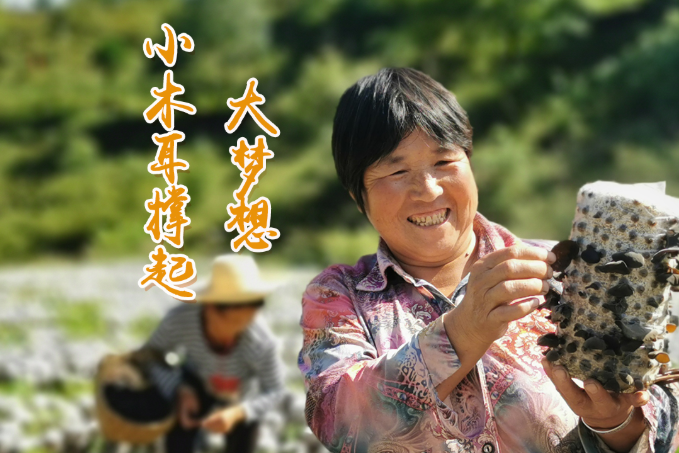 海報丨他們，乘“豐”破浪！