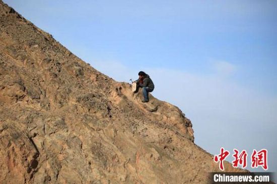 圖為敦煌“80后”畫家張杰龍?jiān)诙鼗腿Ｉ嚼锊杉V石顏料。(資料圖)受訪者供圖