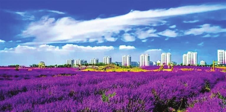 “三連冠”！金昌蟬聯(lián)全國文明城市