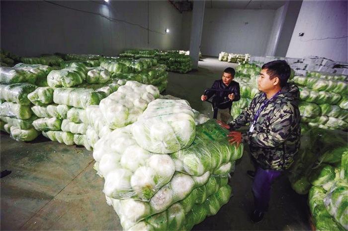 蘭州市已儲(chǔ)備1萬噸冬春蔬菜以耐貯存、易周轉(zhuǎn)品種為主