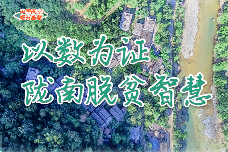 【中國的脫貧智慧】以數(shù)為證！隴南脫貧智慧來了！