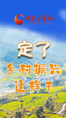 圖解|定了！全面推進(jìn)鄉(xiāng)村振興這樣干！