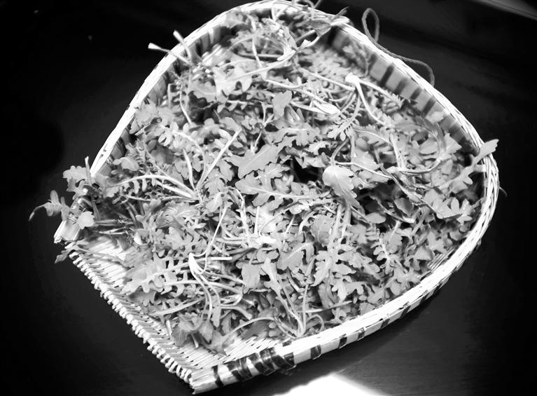 甘肅美食丨摘野菜，咬個(gè)“春”，讓味蕾清新起來