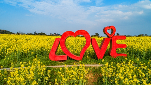 “l(fā)ove”創(chuàng)意拍照墻。廖濤 攝