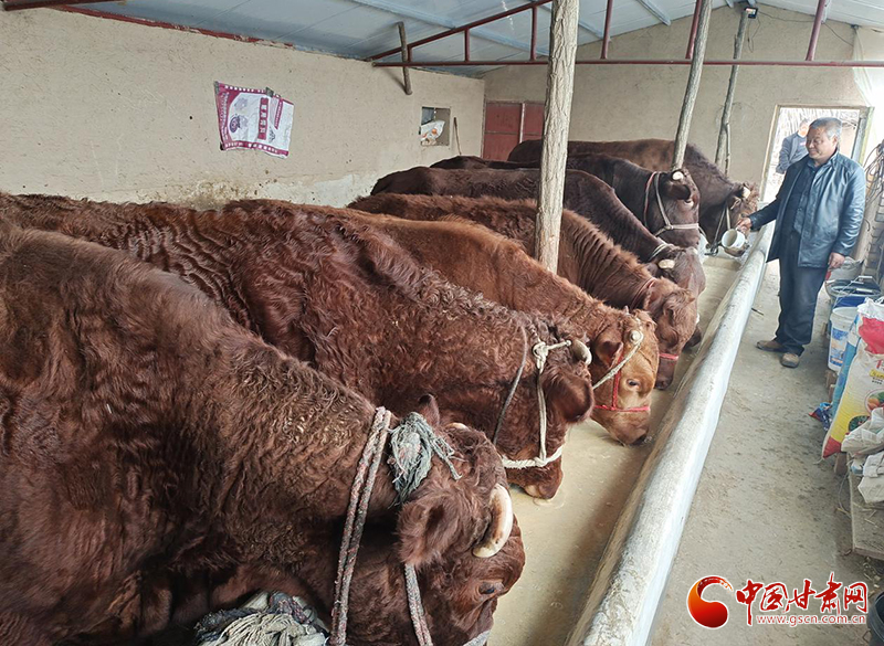 平?jīng)鰶艽ǎ骸芭！碑a(chǎn)業(yè)鋪就致富路