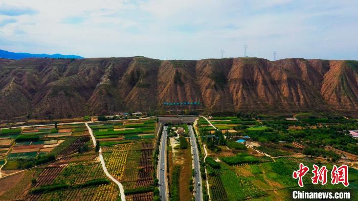 甘肅榆中造養(yǎng)結(jié)合十?dāng)?shù)年荒山改綠 野生動物常“露面”