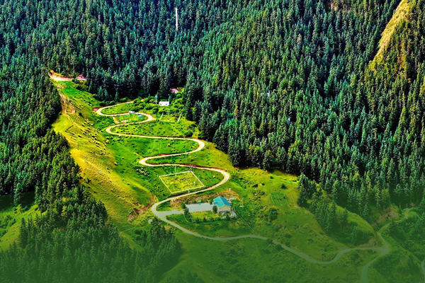 海報(bào)|祁連山保護(hù)區(qū)生態(tài)環(huán)境問題整改全面完成！