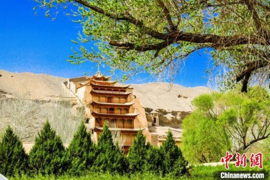 4月的敦煌莫高窟景區(qū)春意盎然。(資料圖) 王斌銀 攝