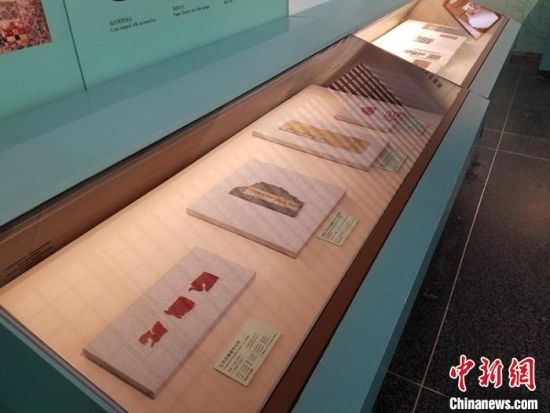 圖為展覽現(xiàn)場(chǎng)?！《鼗脱芯吭汗﹫D