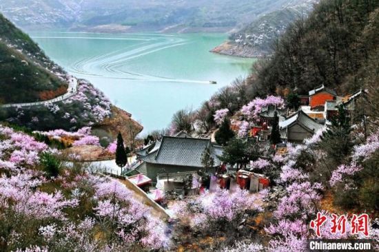 甘肅平?jīng)鍪惺侵袊鴥?yōu)秀旅游城市。圖為平?jīng)鲠轻忌较率锾一ㄊ㈤_。(資料圖) 平?jīng)鍪形麄鞑抗﹫D