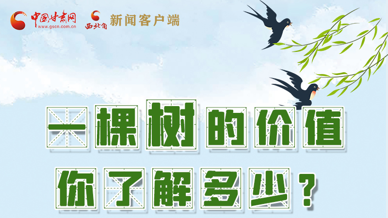 圖解|一棵樹的價(jià)值你了解多少?來(lái)看！