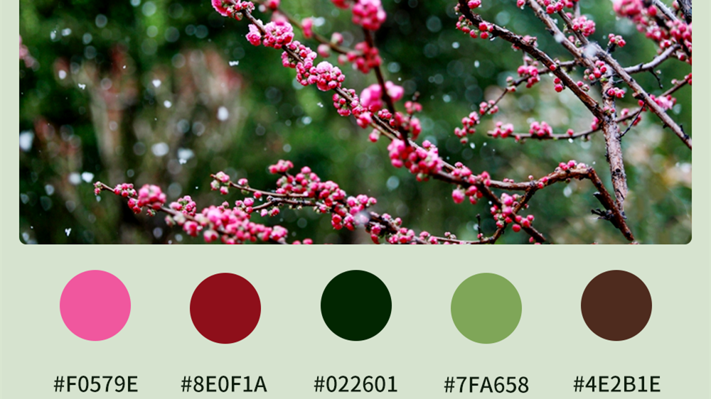 微海報|收藏！色卡里的春日甘肅