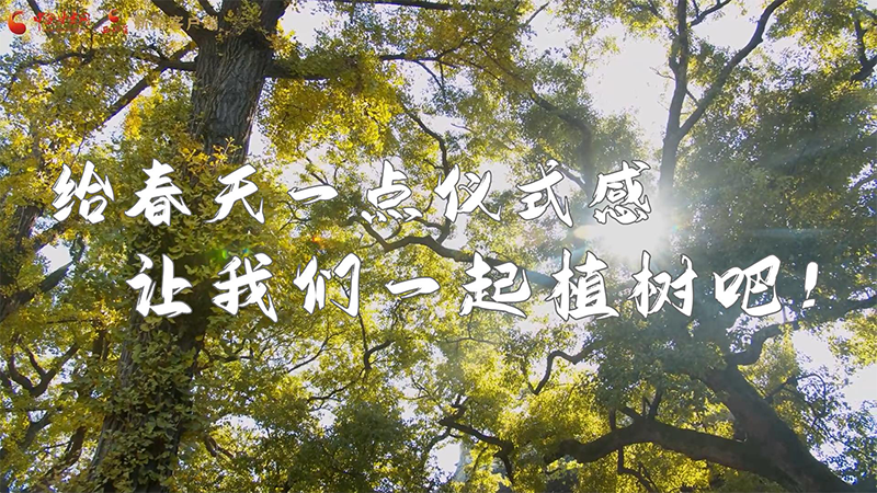 短視頻|給春天一點儀式感，讓我們一起植樹吧！
