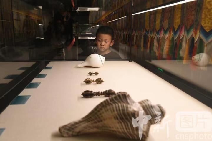 圖為展出的“白海螺法器”吸引小觀眾。 中新社記者 戴文昌 攝