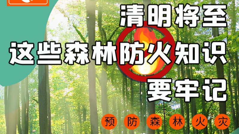 【甘快看】圖解|緊繃“安全弦”！清明，這些森林防火知識要牢記