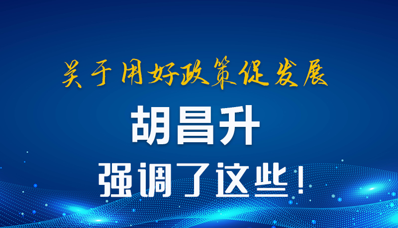 圖解|關(guān)于用好政策促發(fā)展 胡昌升強(qiáng)調(diào)了這些！