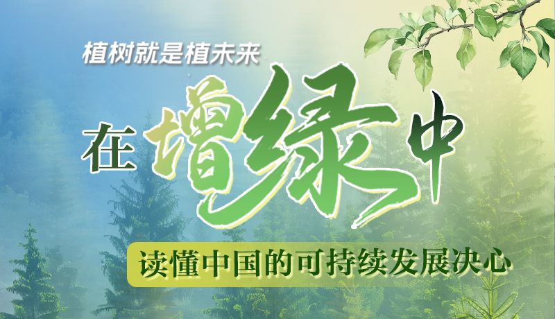 【理響中國 話隴點睛】植樹就是植未來，在增綠中讀懂中國的可持續(xù)發(fā)展決心
